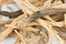 Dried codonopsis root chinese herbal medicine