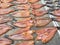 Dried common snakehead fish in the open market, Thailand