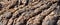 Dried Corded brown lava texture close-up in Teide National Park, Tenerife,Canary Islands,Spain.Volcanic landscape detail.