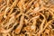 Dried cordyceps militaris mushroom flower texture background
