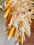 Dried corn cobs, vibrant orange color. Food preservation and storage. Vertical photo