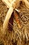 Dried corn, corn husks and hay fall decorations