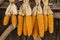 Dried corn hung up outside rural house in Thailand