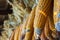 Dried corncobs hanging in a barn