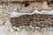 Dried cow dung used for fuel piled outside of a traditional village home