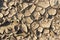 Dried cracked earth soil ground texture background. Lack of fertile soil. Drought. Harvest problems