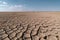 Dried cracked land panorama, desertification concept landscape. Generative AI illustration