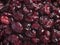 Dried Cranberries