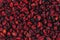 Dried cranberry background