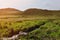 Dried creek in a green meadow. Summer landscape