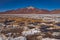 Dried crystallised salt in a desert pan, Siloli