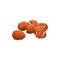 Dried date fruits isolated sugared food sketch