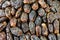 Dried dates scattered on a table on a street market