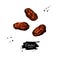 Dried dates vector drawing. Hand drawn dehydrated fruit illustration. Healthy vegan raw food snack.