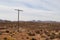 Dried desert landscape with plants