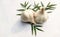 Dried double garlic decorated with green leaf on a white background.Copy space for text