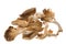 Dried Edible Mushrooms