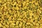 Dried fenugreek seeds background