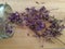 Dried fireweed plant bc Canada purple flowers wild edible local honey flower