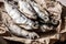 Dried fish