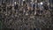 Dried Fish hanging up on wooden racks in Henningsvaer Stockfish industry on the Lofoten Island, Norway.