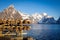 Dried fish head on the wooden dryer Lofoten, Norway, food, sea food hunting,