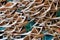 Dried fish at Jagalchi Fish Market, Busan, Korea