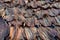 Dried Fishes of Colombo Fish Market