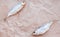 Dried fishes flat lay template banner on craft paper background with empty space for text. Horizontal salted roach cover