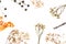 Dried floral flowers on white background