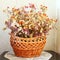 Dried flowers in a basket. Winter bouquet