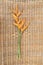 Dried flowers bouquet Yellow Heliconia on vintage weave background