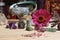 Dried Flowers and Crystal Stones on Meditation Altar Shallow DOF