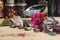 Dried Flowers and Crystal Stones on Meditation Altar Shallow DOF