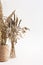 Dried flowers. Field dry spikelets and herbs in vases on a light pink background.