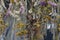 Dried Flowers and Herbs Hanging