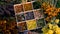 Dried flowers and herbs tea and alternative medicine. Selective focus.