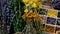 Dried flowers and herbs tea and alternative medicine. Selective focus.