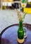 Dried flowers in an old beer bottle on the table, As materials u