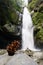 dried flowers on rocks and a waterfall in the middle of the forest