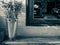 Dried flowers in stainless steel tanks on wooden chair nearing the window with sunlight in evening. Background concept