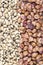 Dried foot nutrition; mixed legumes. Food concept photo