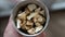 Dried fruiting bodies of Hericium erinaceus mushroom close-up