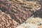 Dried fruits exposed at Marrakesh Market