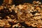 Dried fruits in glass jars on dark background