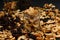 Dried fruits in glass jars on dark background