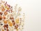 dried fruits and nuts on a white background laid out in the corner. copy space