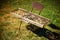 Dried fruits in wooden pallet on the old chair in the garden