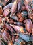 Dried Gardenia Fruit background