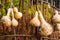 Dried gourds hanging from a fence